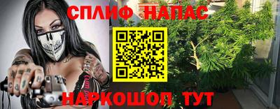 Альфа ПВП Кингисепп